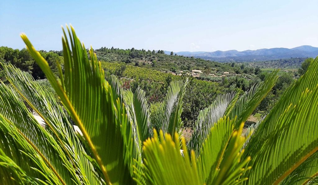 Panoramisch uitzicht op de Sierra d´Irta